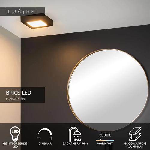 Lucide BRICE-LED - Plafonnière Badkamer - LED Dimb. - 1x15W 3000K - IP44 - Zwart - USP